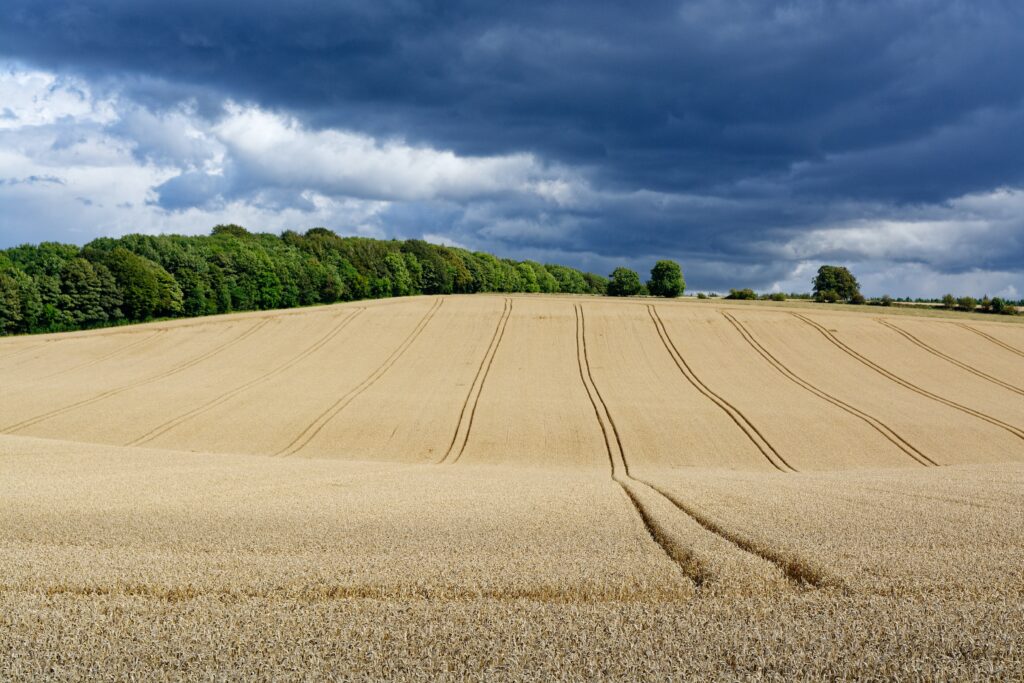 What Are Some Popular Walking Routes In The Cotswolds?