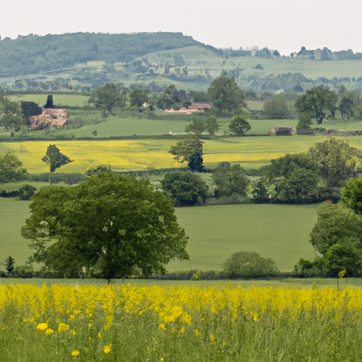 What Are The Cotswold Hills?